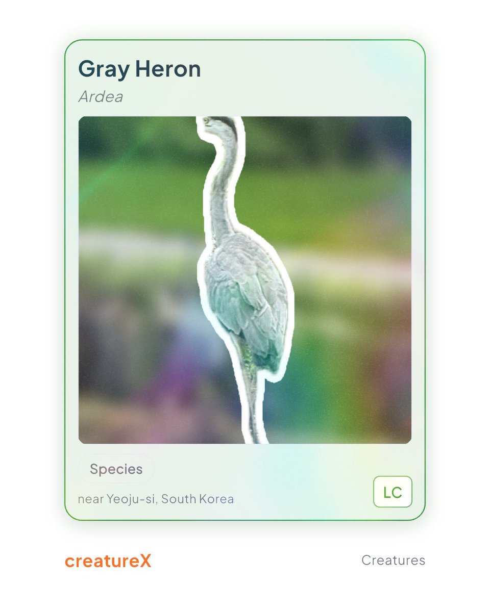 heg_io's tweet photo. Found Gray Heron! #creatureX https://t.co/RD0oaVYHs7