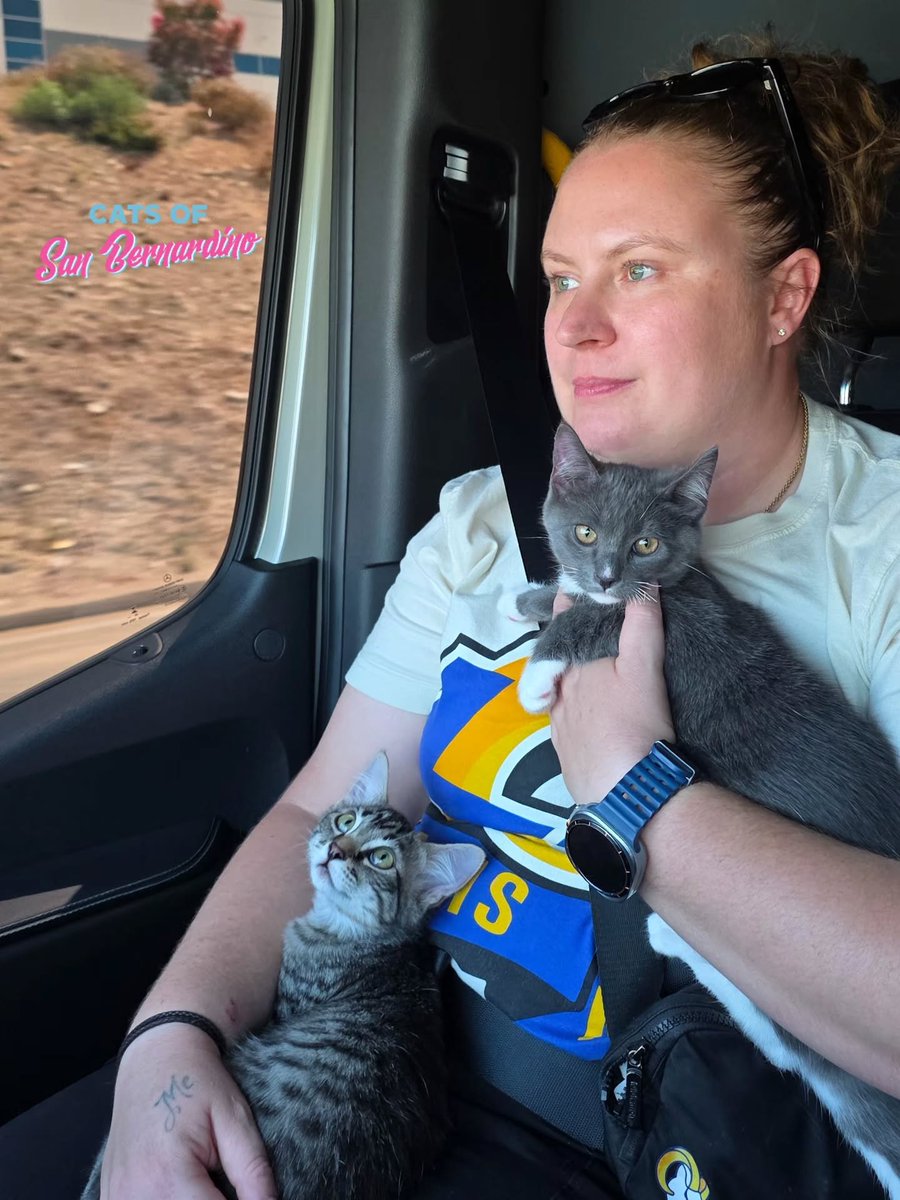 cqk5az07dhd80hg's tweet photo. Just a girl going home after saving two CH kitties from death row at the shelter ❤️

The feeling we get when we save a life is an unexplainable high. It gives us purpose, motivation, and strength to go on! Cats are one of the most wonderful and innocent creatures in this world. https://t.co/Hm65aNhblA