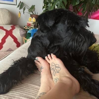 Milena_Shantel's tweet photo. It’s my dog inside of me on telegram My Telegram link:
https://t.co/VSdFKpiWvs

#zoophillia #zoosarevalid #beastiality
#dogknot #zooprideisvalid #zoophile
#antizoo #antizoophile #zoopride
#zoophilepride #zoopositivity
#Bestiality #hypnotistsappho
#zoo https://t.co/lPQVq5eLBc