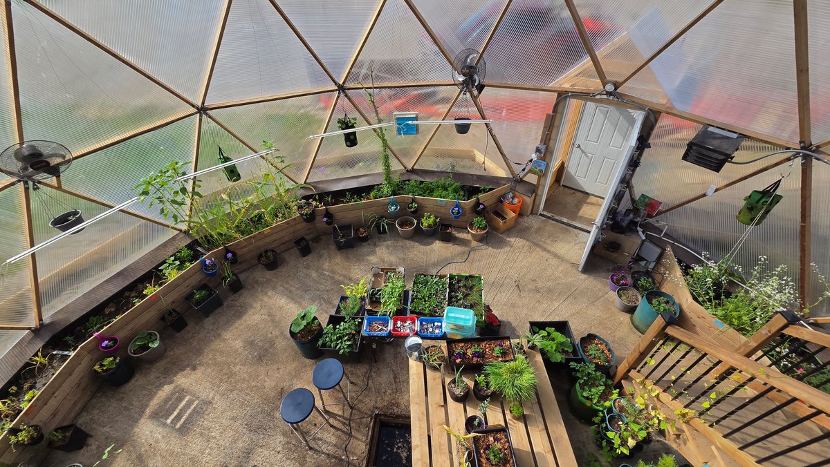 collzac's tweet photo. This Saskatoon company is changing lives with 4-season geodesic grow domes. Demand has soared. Imagine a year-round greenhouse for growing food:  https://t.co/aVqdj0sGBb

#GrowYourOwnFood #greenhouse #backyard #veggies #project #foodcropsyearround https://t.co/qPPtWz85Kl