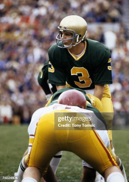 sonodoc99's tweet photo. @miles_commodore Joe Montana https://t.co/Pgk2BfZFzp