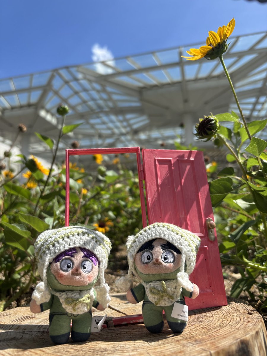 tako_cham's tweet photo. あちかったねー…‼️🦖🌻☀️🍹💦 https://t.co/dqT859Iywc
