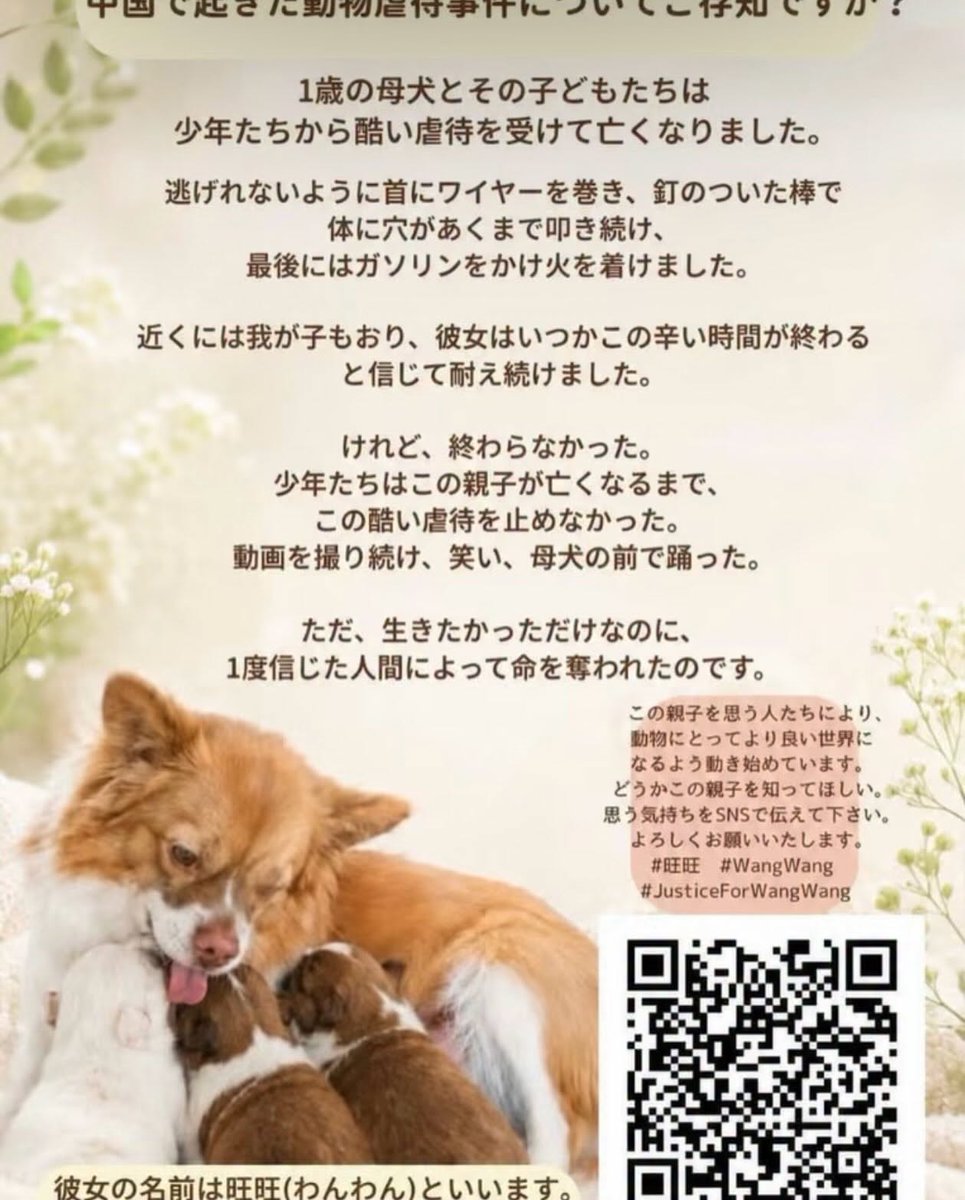 meicolor's tweet photo. ブログがメンタルヘルスカウンセラー部門で1位になりました。 旺旺（ワンワン）ちゃんのことを 知っていただけたらうれしいです。リンク先ブログをご覧ください。
https://t.co/KRg2ck3DhN

#旺旺ちゃん
#ワンワンちゃん
#wangwang
#Wangwang
#JUSTICEFORWANGWANG
#JusticeForWangwang
#動物の命 https://t.co/cVy2YE2iCK