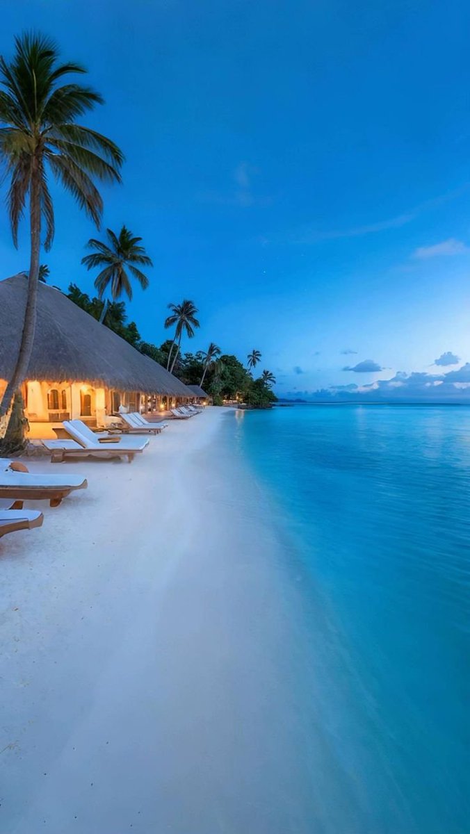 water_diaries's tweet photo. Maldives 🇲🇻 https://t.co/McbpDj4LzB