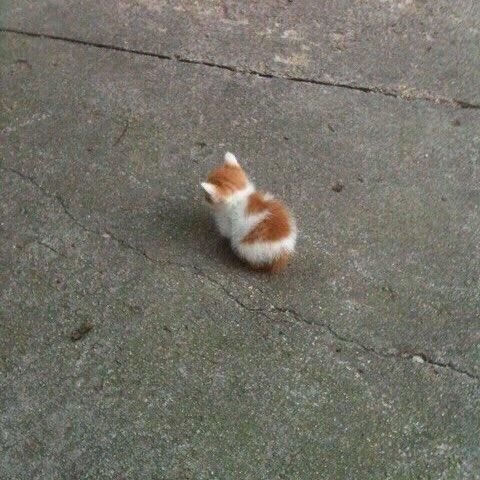 Nooriepie6's tweet photo. Missing him https://t.co/tWmcjROZ96