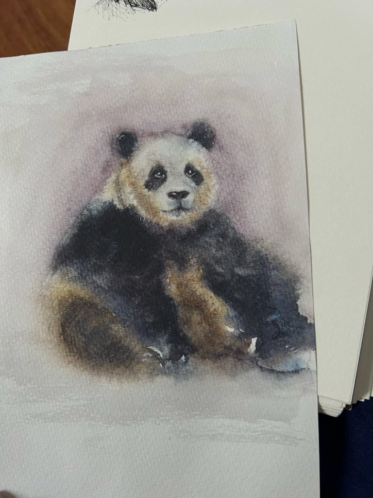itsria_art's tweet photo. Panda watercolor painting https://t.co/a9BSjHsZzc