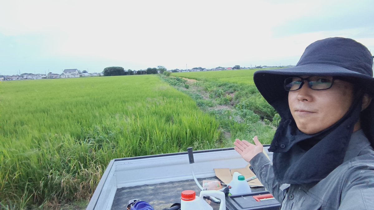 KKeikoma95225's tweet photo. 暑さを避け、夕方から除草作業開始。

家庭菜園を楽しむ近所のおじさんに声掛けられる
「作ったものが全部盗まれる。犯人は外人なんだろうが警察はまず動かない。こんな事は今まで無かった。学校も道徳が無くなった。日本が壊れている」

はい、１０0%同意します。

新米議員、頑張ります。 https://t.co/eU0V41NN0M