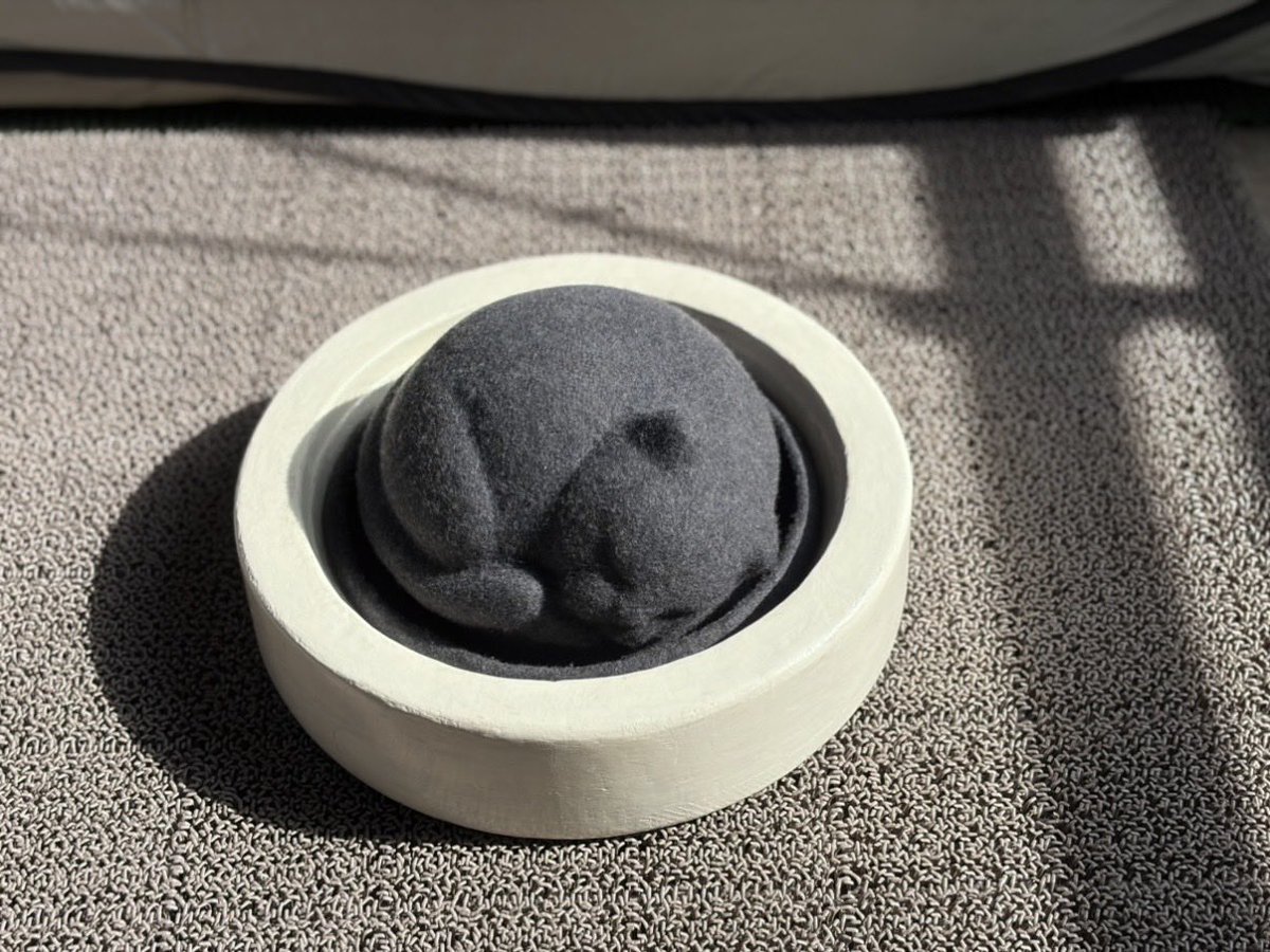 KENT_HAT's tweet photo. 8月8日は『世界猫の日』

制作中のおやすみにゃんこハットが本当にお昼寝してるみたいに見えたので、この日のためにストックしていた写真をポストしてみました😆🐈‍⬛💤

こちらは11月のイベント『片っ端から偏愛レトロ喫茶展』でも少し販売する予定なのでよろしくお願いします✨ https://t.co/DHhyf26oFU