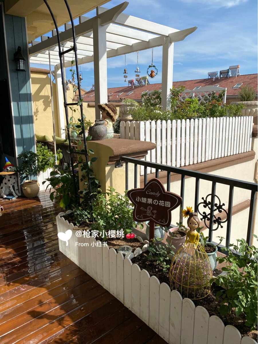 ialmond1's tweet photo. My tiny balcony used to hold nothing but a broken chair. Now it’s my little herb garden with basil, mint and lemon balm—turning random corner into my happy spot! https://t.co/HUgiKqOcHQ