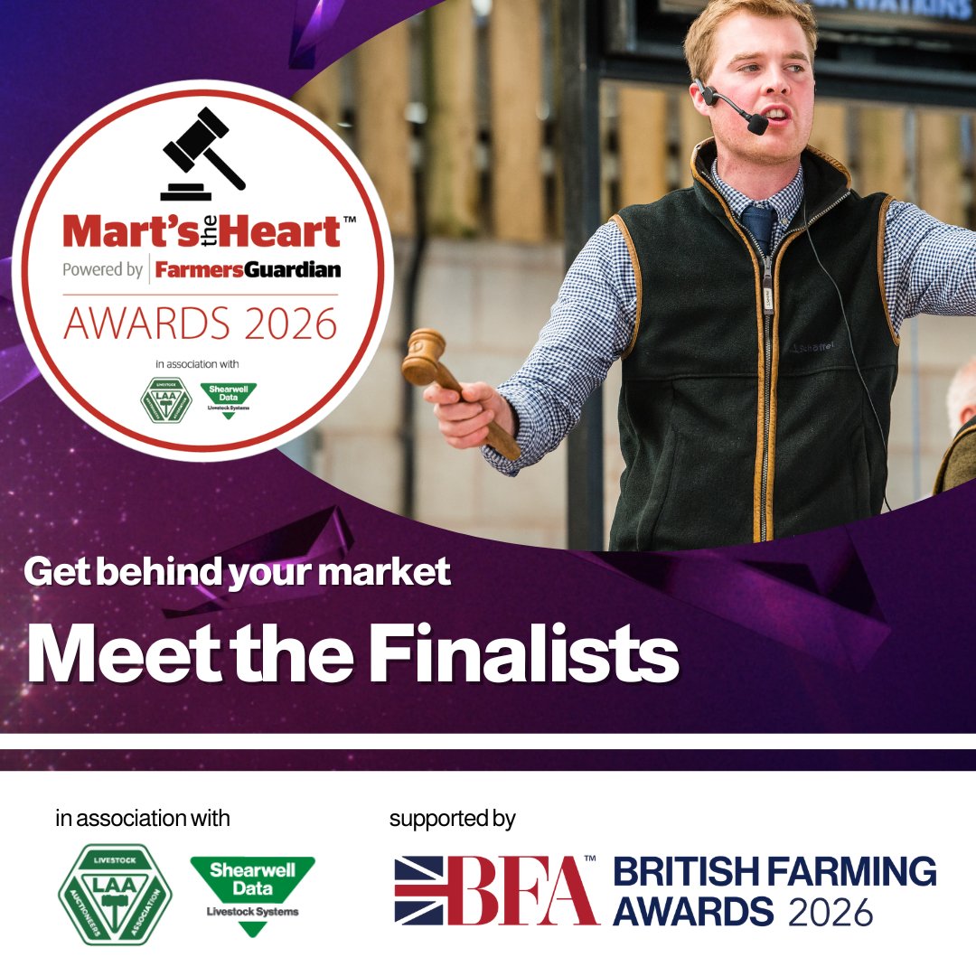 FarmingAwards's tweet photo. 🌟🔨New Auctioneer of the Year  
This year's shortlisted finalists are: 
⭐ Luke Scott, C&amp;D Marts 
⭐ Will Amos, York Auction Centre 
⭐ Dafydd Waters, Carmarthen Mart 

Think one of these rising stars deserves the title? 
👉 Vote now - https://t.co/TSqnMYiu2H 

#MartsTheHeart https://t.co/t1g7e6cCuJ