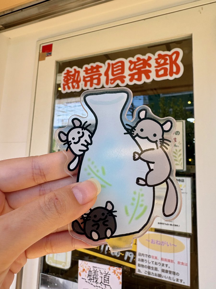 まりもさん㊗️1歳🎂🎂 お迎えの時ぶりに熱帯倶楽部さん行って