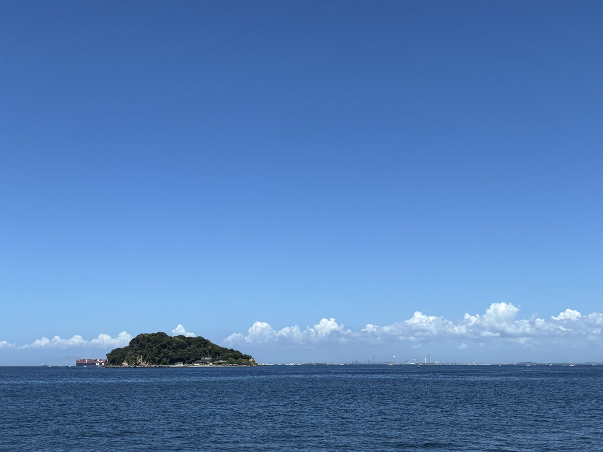 actinidia_Si's tweet photo. 楽しんだ https://t.co/grmdP4Mvb3