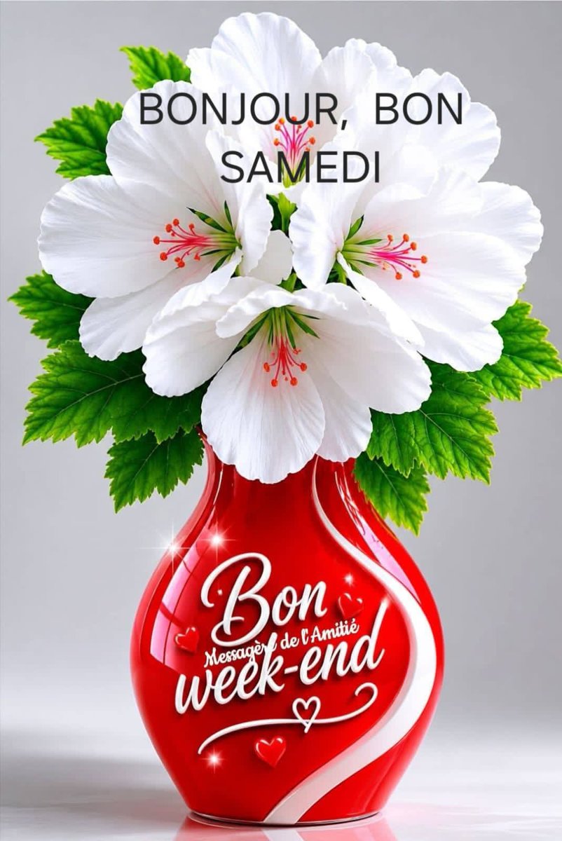 BakaLainde's tweet photo. https://t.co/1L7mimijL1