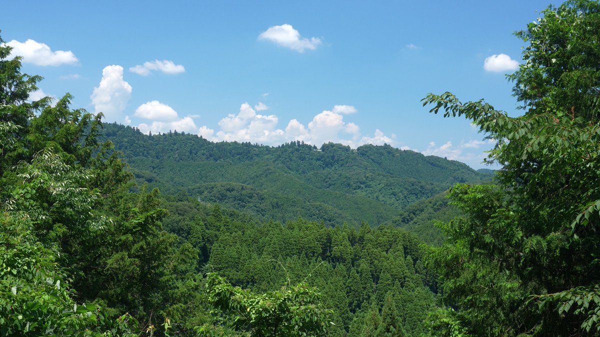 araiwatal's tweet photo. Skip the weekend crowds at Mt. Takao! 😘
Explore Mt. Kusato, a hidden green escape in Tokyo. 

Relax with deep forest hiking in 4K resolution and beautiful nature ASMR sounds.🌱

Perfect day trip for your Japan travel plans! 🎒

https://t.co/j51rqRsSWi

#Tokyo #HiddenGem https://t.co/2O521ZgUmy