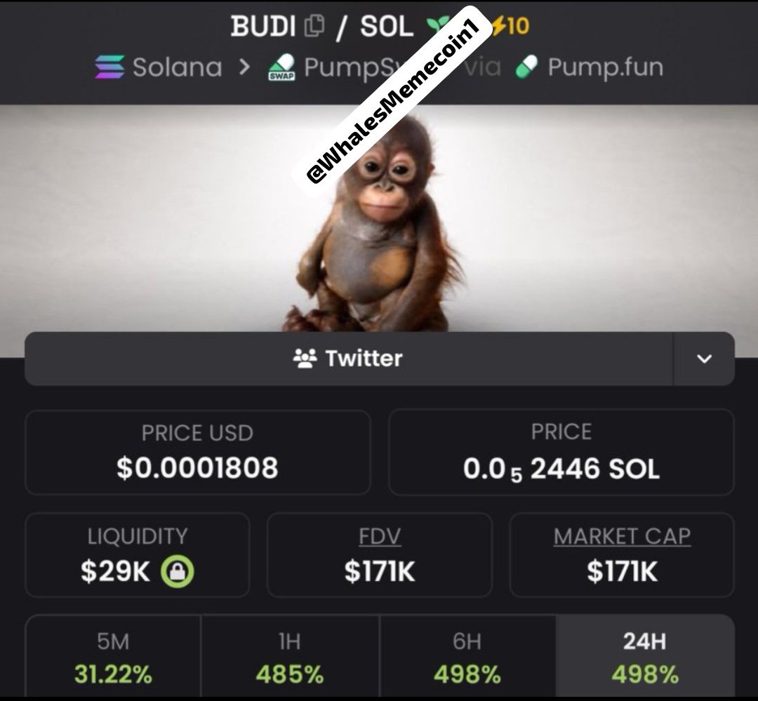 jogosHP's tweet photo. 🚀 $BUDI was spotted early at just $17K MC…

Then it ran all the way to $171K MC 🔥📈

That’s a clean 10X move from the early spot. 💰

We don’t chase the pump — we position before the crowd notices. 👀

🔥 Another microcap is already warming up.
Follow + DM to join my Private TG and catch the next alpha early.

CA: HorssaL4eWdykwU2qd5jxvNiFNtXpezZMWLLGtyFcaFY

#Solana #Memecoin #Crypto #Alpha #BBVIPKS4