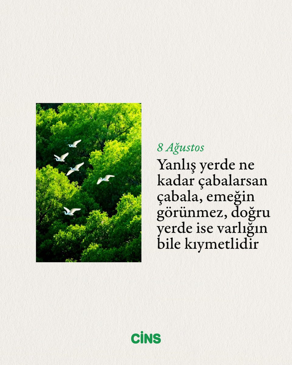 CinsDergi's tweet photo. Günlük Cins hatırlatmasıdır:

Yanlış yerde ne kadar çabalarsan çabala, emeğin görünmez, doğru yerde ise varlığın bile kıymetlidir. https://t.co/JaEdods5E0