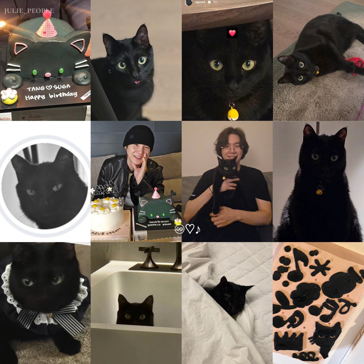 sugadooll's tweet photo. Yoongi in his proud cat dad era is the cutest thing that ever happened 🐈‍⬛ ྀི https://t.co/Sws3vmuxRR