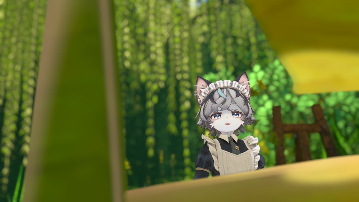zbc19to20mbc's tweet photo. 🌿🐱🐱🍃 https://t.co/aSh2s1Zq5p