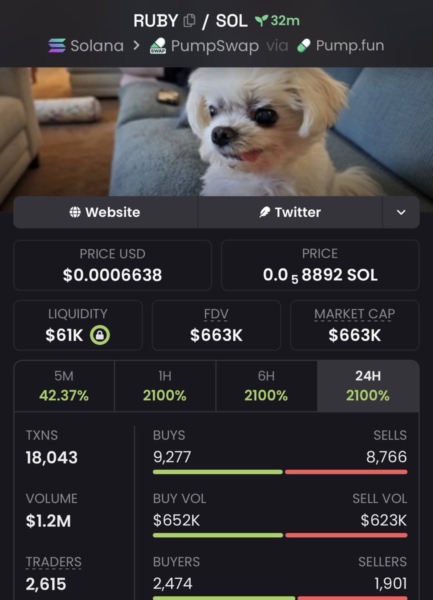 jogosHP's tweet photo. 82.9x Returns from our initial investment on $RUBY 🚀🔥

CA> JBKWfCwhW91RvkZb1S9HL8x59YuBbnVFxgwpkx8cpump

#Solana https://t.co/V3GPSu9SQb
