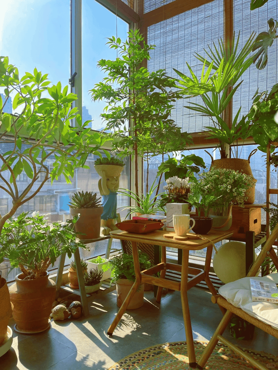 JessicaGames10's tweet photo. Just swapped my crowded office desk for a sunlit balcony nook—small space, big joy upgrade! https://t.co/tpsPVCJtvz