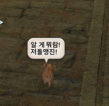 oilsaam0513's tweet photo. 뙤근이다아~!~!!!! https://t.co/yMvR5Un662