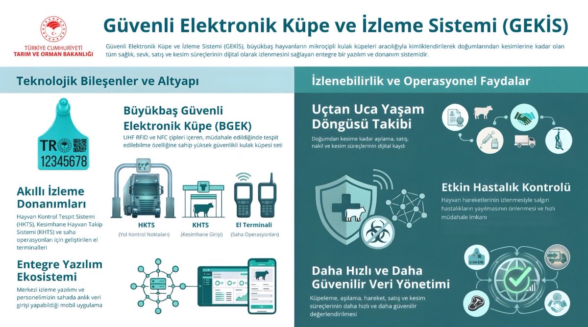 TR_HAYGEM's tweet photo. Güvenli Elektronik Küpe ve İzleme Sistemi (GEKİS); büyükbaş hayvanlarımızın doğumundan kesimine kadar tüm yaşam, sevk ve sağlık süreçlerini uçtan uca dijitalleştirmektedir.

- Turkuaz renkli Büyükbaş Güvenli Elektronik Küpeler (BGEK), kulaktan sökülmesi durumunda manüplasyonların tespit edilebilmesi sayesinde küpe sahteciliğinin ve usulsüzlüklerin önüne geçilecektir.

- ⁠Hayvanların tüm aşılama, sevk, yol kontrol ve kesimhane hareketleri UHF RFID teknolojisiyle donatılmış sabit sistemler ve el terminalleriyle anlık olarak izlenebilecektir.

- ⁠Yetiştiricilerimiz, hiçbir ek cihaza gerek duymadan kendi NFC özellikli akıllı telefonlarıyla hayvanlarına ait bilgilere saniyeler içinde ulaşabilecektir.

@TCTarim