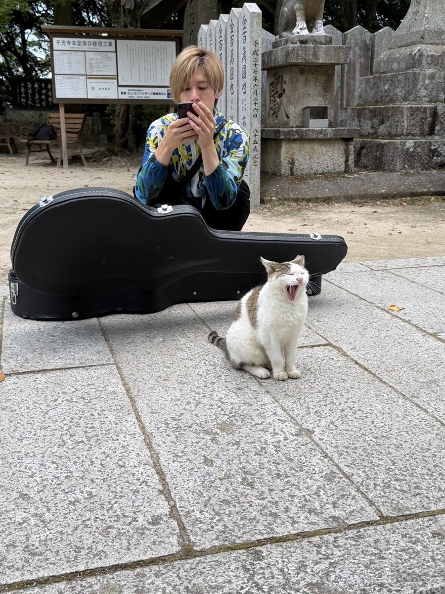 chukyoactive's tweet photo. 今日は香桃と大垣市来てます！
#世界猫の日 https://t.co/oJ50hUZdwS