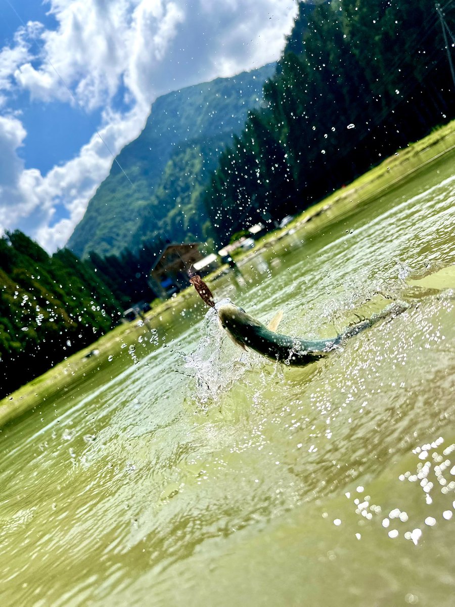 jackll17672's tweet photo. 濁りはあるものの魚はしっかり動いてる。
⁡
気温が上がれば、スプーンのレンジを下げれば良いサイズもヒット🐟
⁡
お昼前に放流があったが、思いっきり外した...
⁡
レンジを見つけるも、残存なのか放流魚なのか微妙なアタリだった💦

#神室フィシャーマンズロッジ
#ジャッカル
#ティモン https://t.co/qcP6mqsSQE