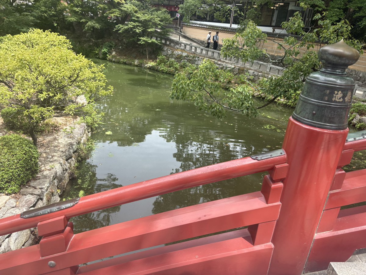 n_ngy's tweet photo. 大宰府いった https://t.co/N7NUKZq9iV