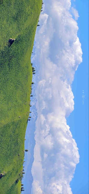 AnaVictores's tweet photo. 土曜の夜は一杯やりながらの晩酌が定番。今日は手巻き寿司を握って、冷えたビールとともにいただく。疲れが溜まってたから、たまにはいいもんね。 https://t.co/uXcLOgNNrl