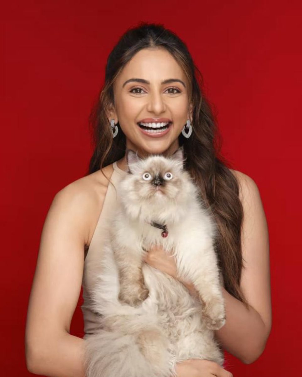 indiaforums's tweet photo. When Bollywood beauties bring the CAT-titude!😻
This International Cat Day, we’re celebrating the purr-fect queens of Bollywood!
.
.
.
#AliaBhatt #NushratBharucha #ShilpaShetty #ShamitaShetty #DishaPatani #KiaraAdvani #PrachiDesai #KubraSait #RakulPreetSingh #IndiaForums #InternationalCatDay #BollywoodCats