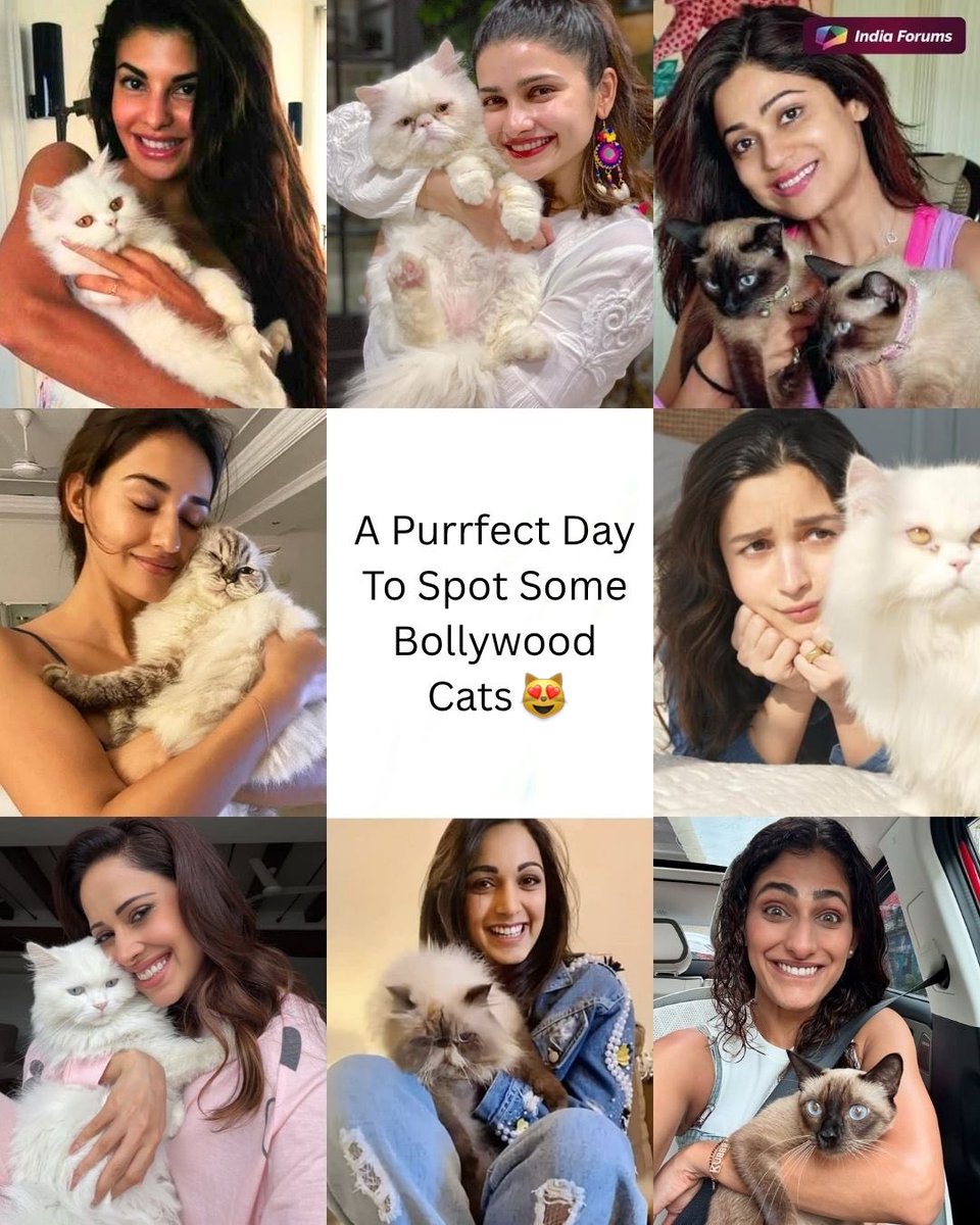 indiaforums's tweet photo. When Bollywood beauties bring the CAT-titude!😻
This International Cat Day, we’re celebrating the purr-fect queens of Bollywood!
.
.
.
#AliaBhatt #NushratBharucha #ShilpaShetty #ShamitaShetty #DishaPatani #KiaraAdvani #PrachiDesai #KubraSait #RakulPreetSingh #IndiaForums #InternationalCatDay #BollywoodCats