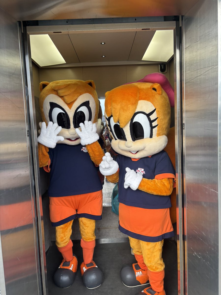 taro12181985's tweet photo. アルディージャ開幕戦！ピッチにはもう出禁になったアルディとミーヤいたのであげときます。
# RB大宮 https://t.co/qD1q54PkwF
