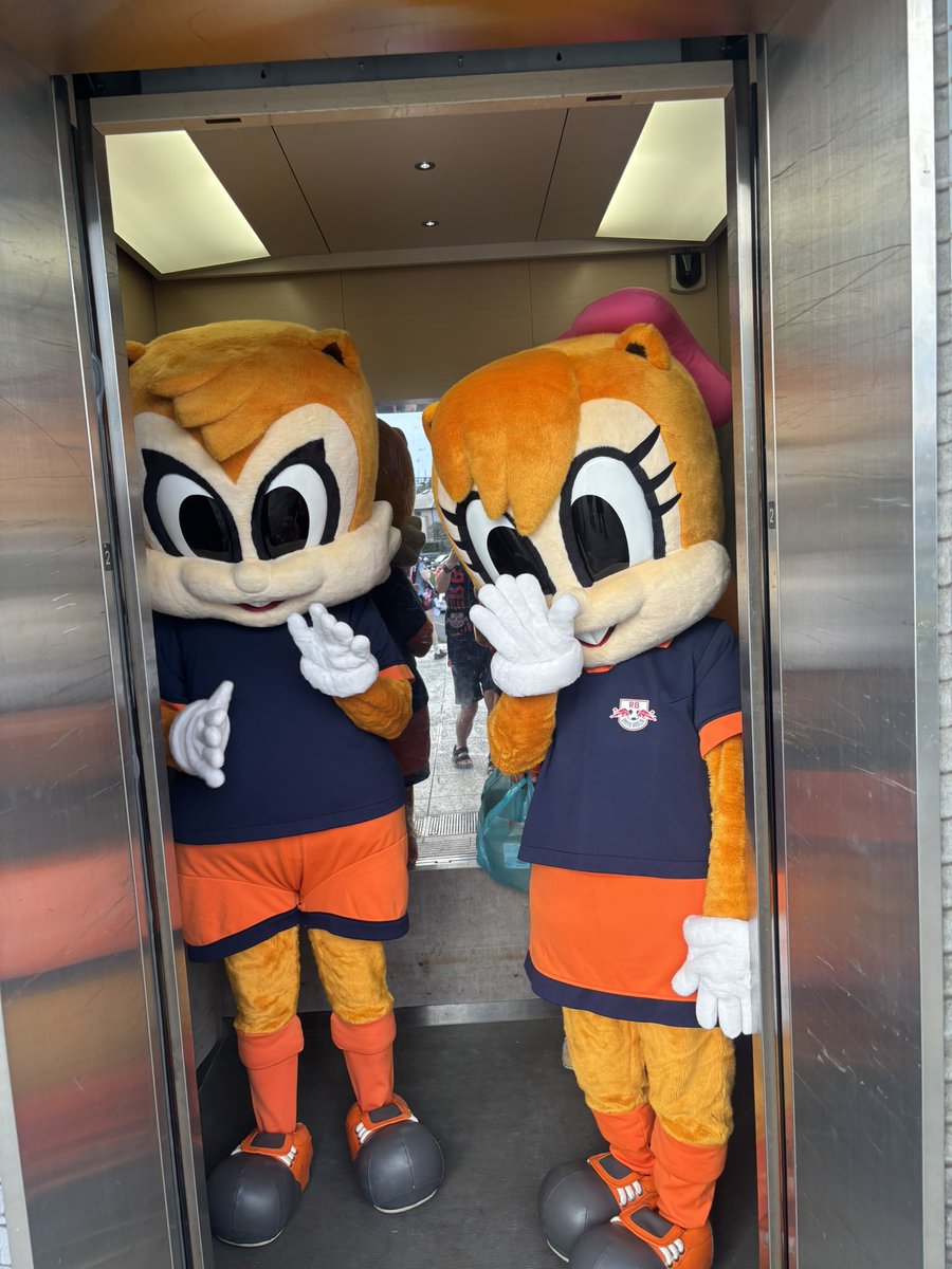 taro12181985's tweet photo. アルディージャ開幕戦！ピッチにはもう出禁になったアルディとミーヤいたのであげときます。
# RB大宮 https://t.co/qD1q54PkwF
