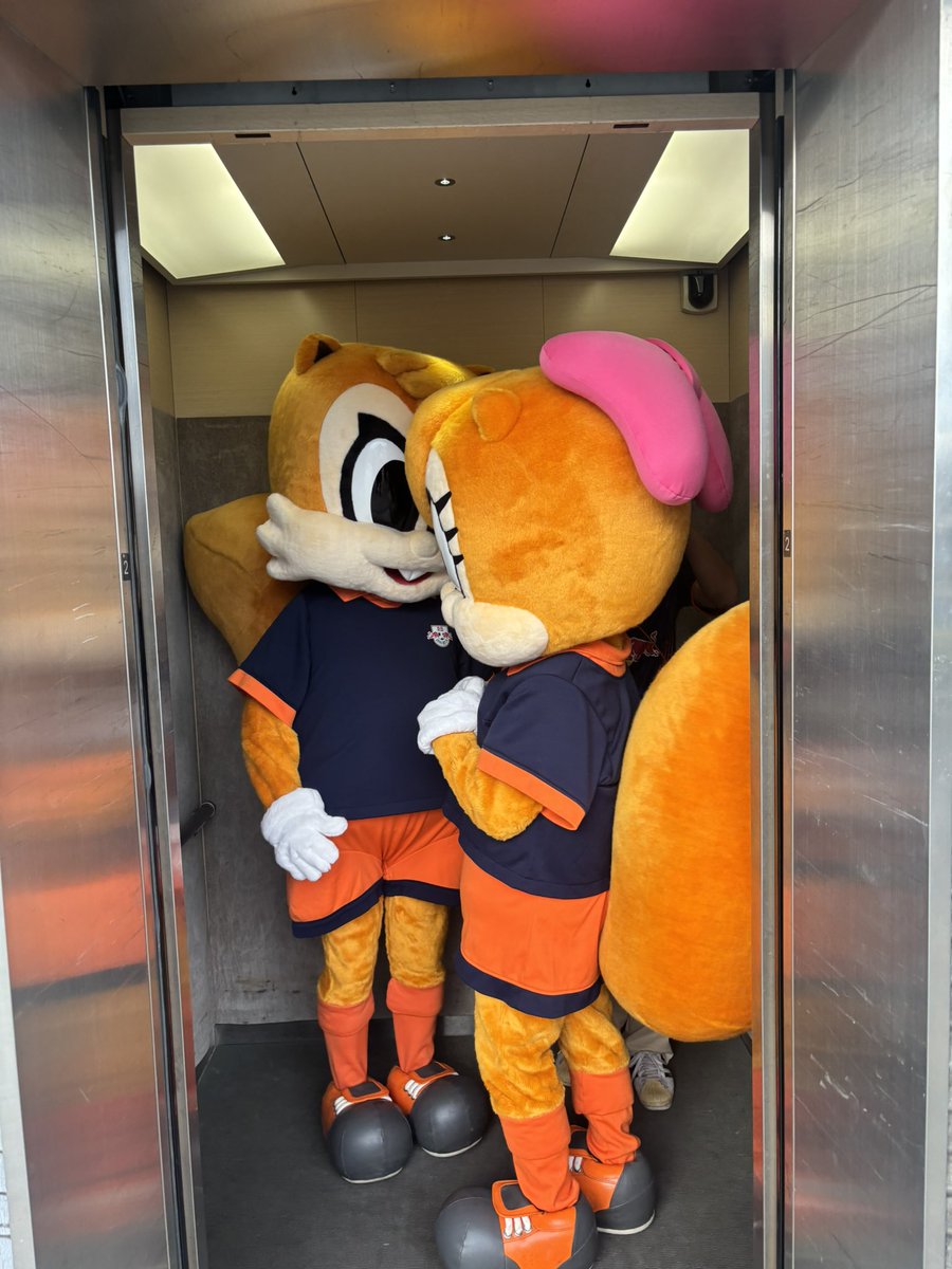 taro12181985's tweet photo. アルディージャ開幕戦！ピッチにはもう出禁になったアルディとミーヤいたのであげときます。
# RB大宮 https://t.co/qD1q54PkwF