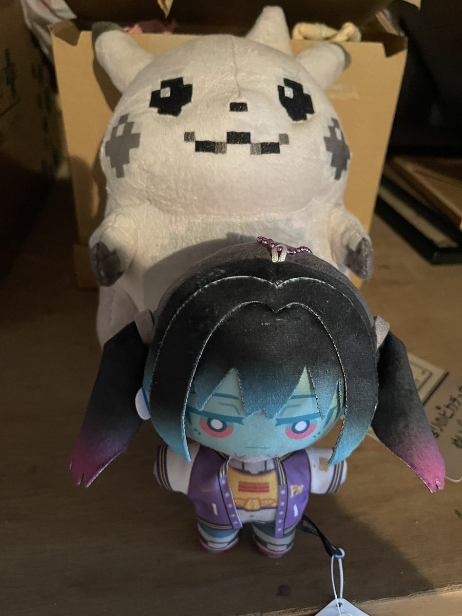 kuma_behemoth's tweet photo. マキナちゃん…先住のふわふわの子達と
ピカオリジンと
メガピカドンだよ…仲良くしてね… https://t.co/Vy3ew91FzS
