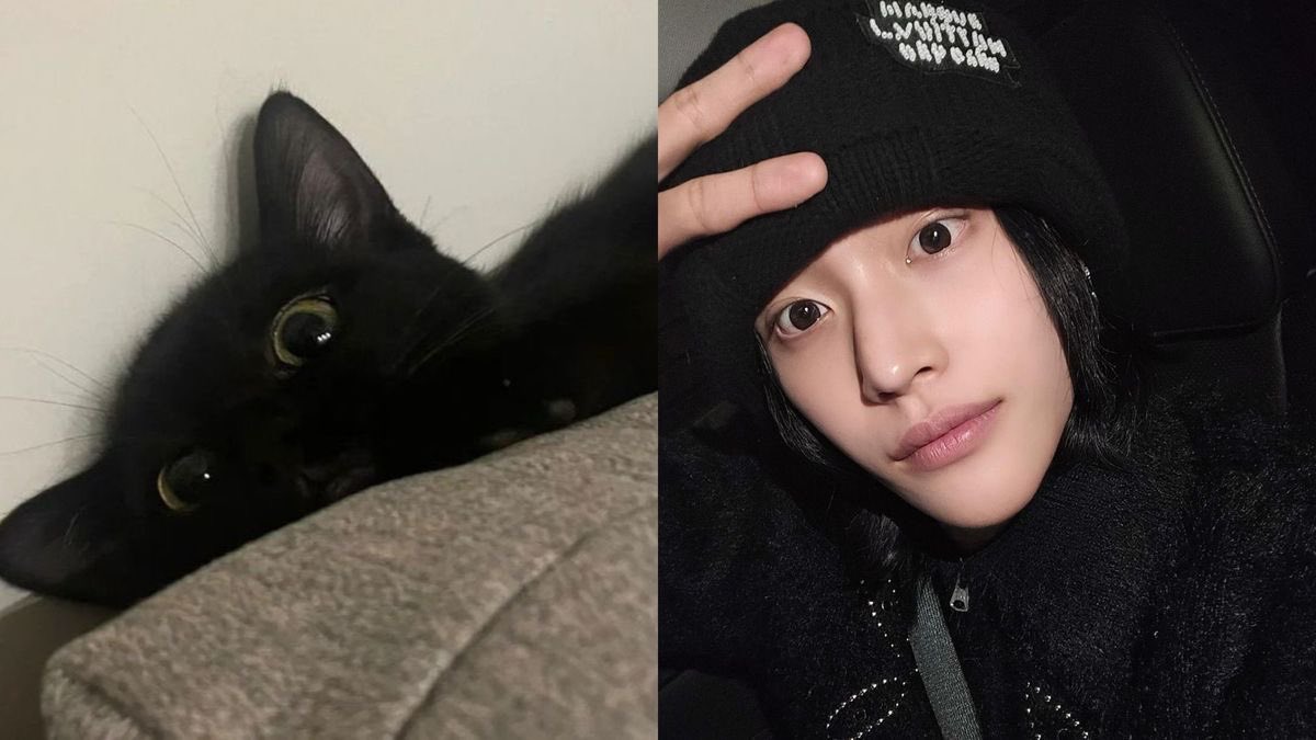 alldaybbin_'s tweet photo. 오늘은 세계 고양이날 = 박원빈의 날 🐈‍⬛💕 https://t.co/xa6w3Mh6bX
