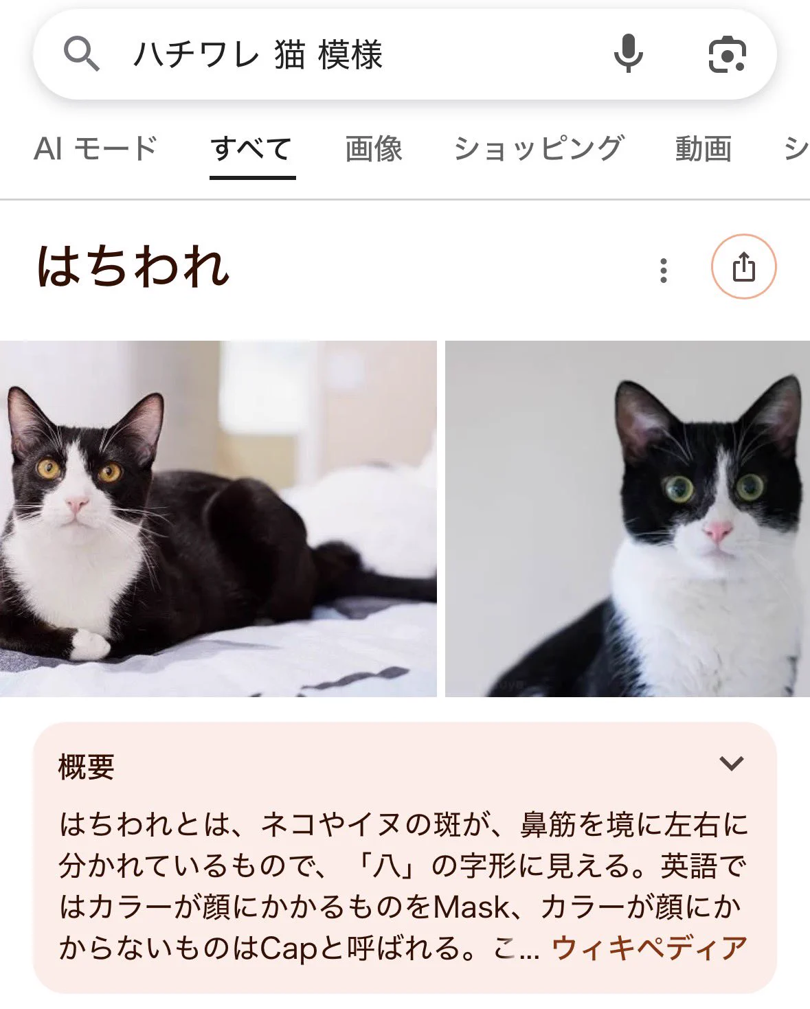 ぷらす on X: 