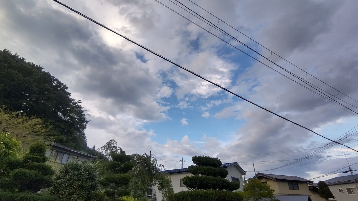 awashimas's tweet photo. こんばんは、今日の散歩時の空模様、雨が降りそうで早めに切り上げました。それにしても暑い日が続きます。 https://t.co/MUHmsr2Jbz