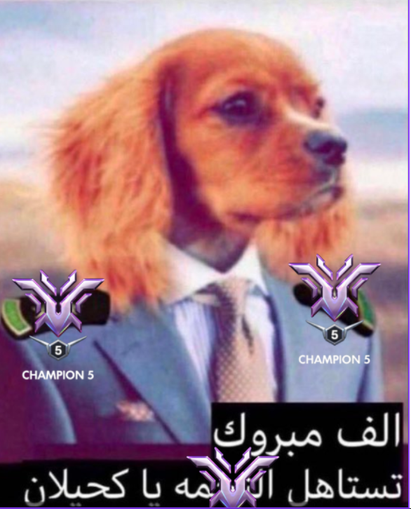 BatteryLeathal's tweet photo. fake role fake rank idc https://t.co/8PRyKo6zCd