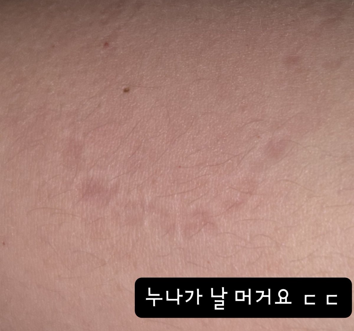 secretgeonppang's tweet photo. 누나가 날 머거요! https://t.co/AjgJZ1YVlM