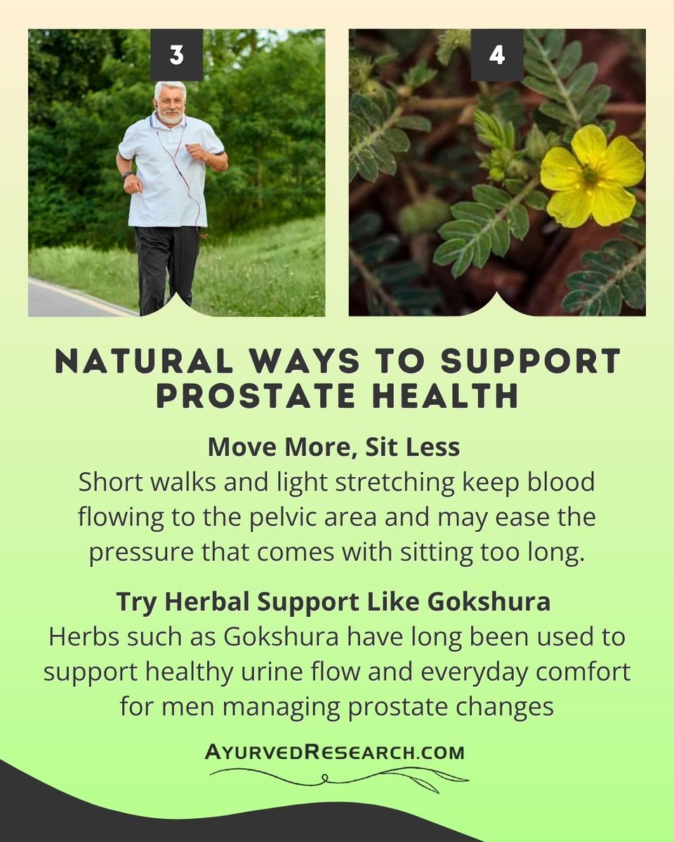 AldrichGoleman's tweet photo. See the 4 Best Natural Remedies for Prostate Issues Naturally
Ease it naturally 🌿✨ https://t.co/Ozi1Jk53zo
Prostocure Capsule adds Gokshura, Varuna, and Putikaranja to your routine, supporting healthy urine flow and everyday comfort.
#prostatesupport #healthyprostate https://t.co/yBKzB9aeZG