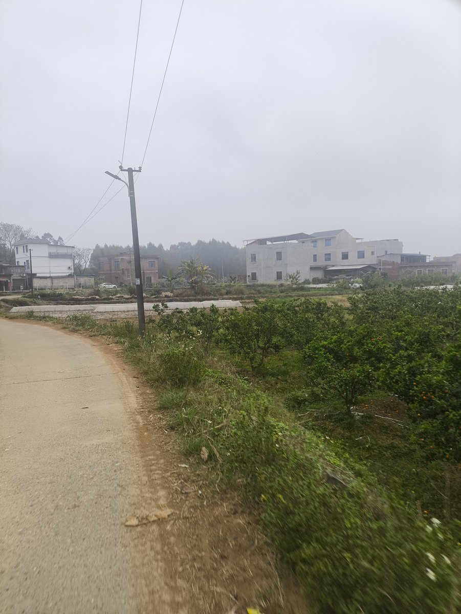 ChrisinLiuzhou's tweet photo. I went to a typical lower-income rural town in Guangxi, China...

Here’s what I found.

We go back to my girlfriend's hometown every year. We stay in a rural community on the outskirts of a town that I consider pretty big and busy, but is probably small in China terms 😅.

Living there honestly didn't feel particularly different in terms of day to day comfort — fast internet, modern appliances, decent homes, cars and scooters everywhere, normal roads and all the everyday conveniences you'd expect.

Many people here live at least partly off the land, growing crops both to eat and sell. Our family owns their home outright — no mortgage or any type of loan. Chinese people avoid bank loans wherever possible, almost allergic to the idea haha. Owning your house outright is very typical in these communities.

This allows most of their income to go towards things like sending their kids to university, helping them buy apartments in bigger cities and funding retirement etc.

And I actually love staying here though.

Life is way more quieter and super chill. Beautiful scenery, friendly people who seem happier in general. Everyone seems to get by by helping and doing favours for each other. A family friend gave us a car to borrow for the week 🙏.

We'd ride our scooters into town for food, late-night BBQ sticks or bubble tea, or head to the nearest larger town for bars, nightlife and karaoke.

The town itself has everything you'd expect — multiple supermarkets, restaurants, schools and general stores. Although somehow much busier than plenty of Western towns 😂...Packed markets, really bustling and busy during the day

The roads are perfectly decent too, nothing worse than you'd find a few hours outside a major Australian city.

The closest big city with an airport is around two hours away and easy to reach with what seems like infinite buses haha.

it's scruffier and less polished than China's major cities, to be expected obviously, same as anywhere. There's no railway station, DiDi or much food delivery — although some restaurants will deliver to your house for free, which was cool.

Buses are frequent and the main form of public transport, connecting people to schools, larger towns and nearby cities.

--

China haters will tell you how desperately impoverished and unliveable rural China is.

But nah...

It's just.. normal. 🤷‍♂️