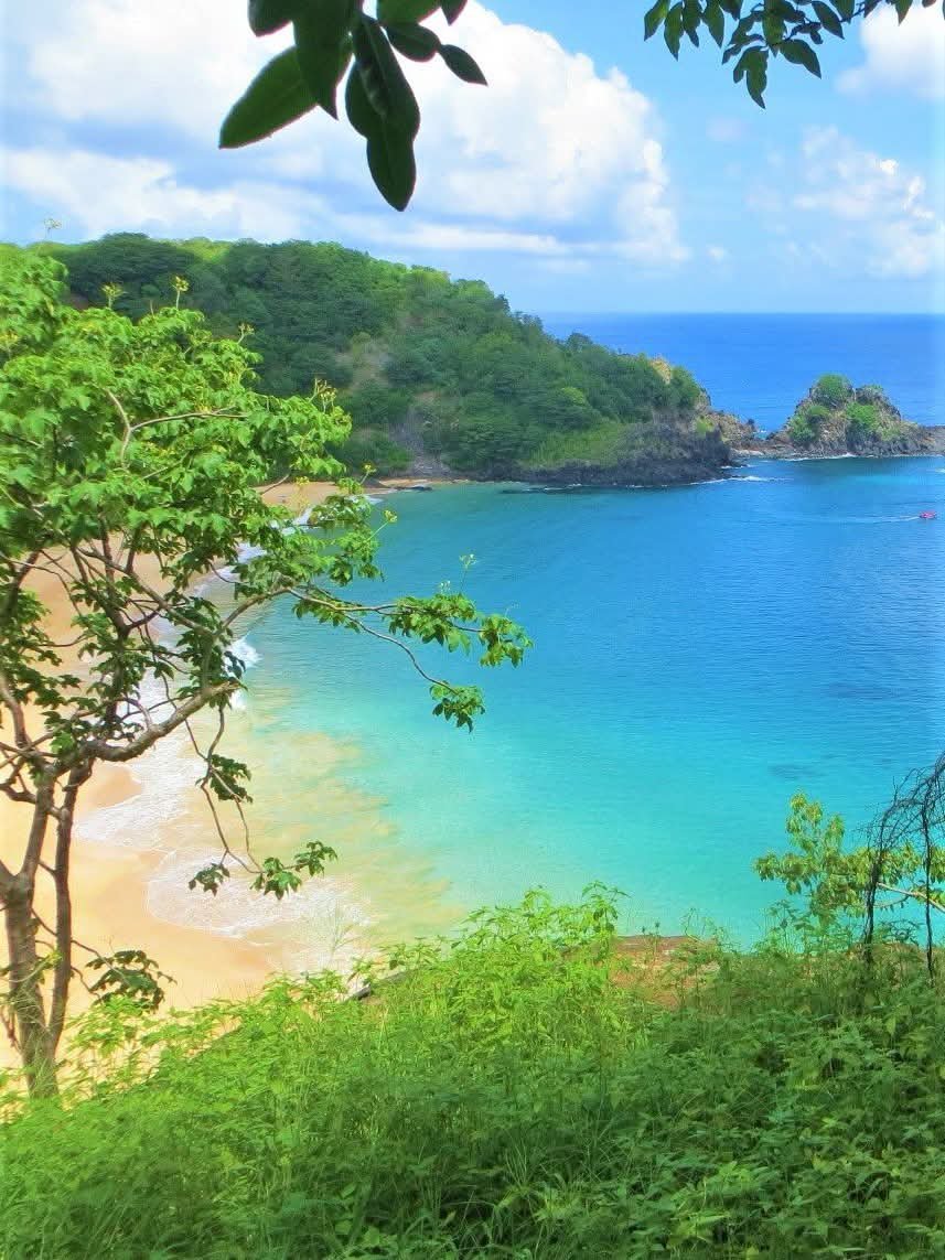 Nature_Views02's tweet photo. So beautiful https://t.co/L8PPxslIEc