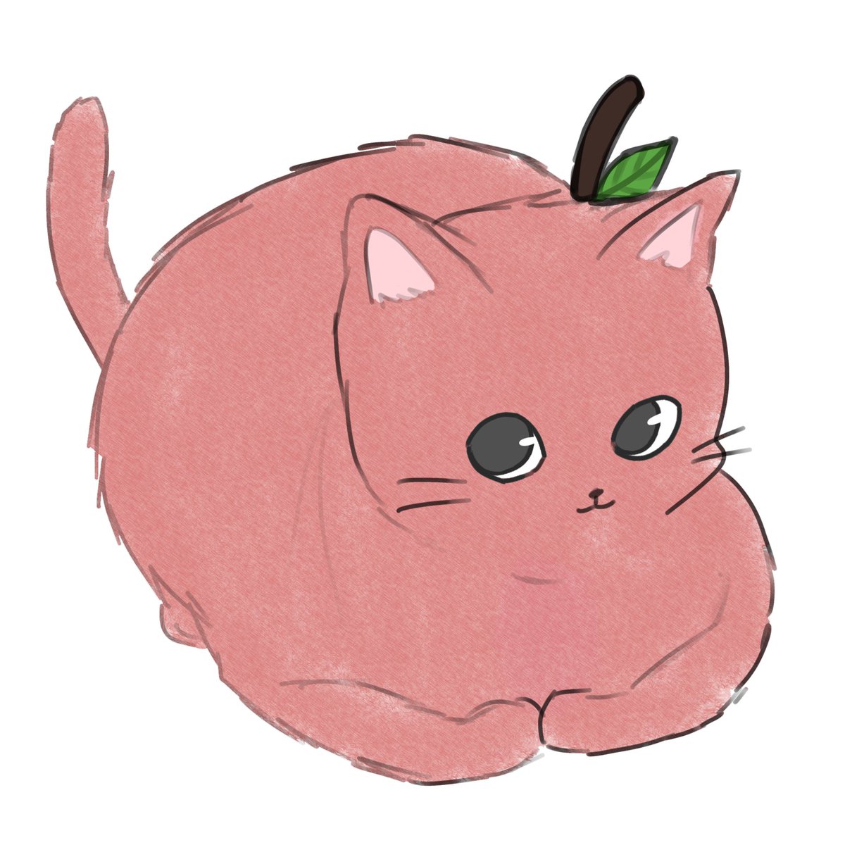 Apple_a4r's tweet photo. 맢냥이~~ https://t.co/Ze9sTsiMQf