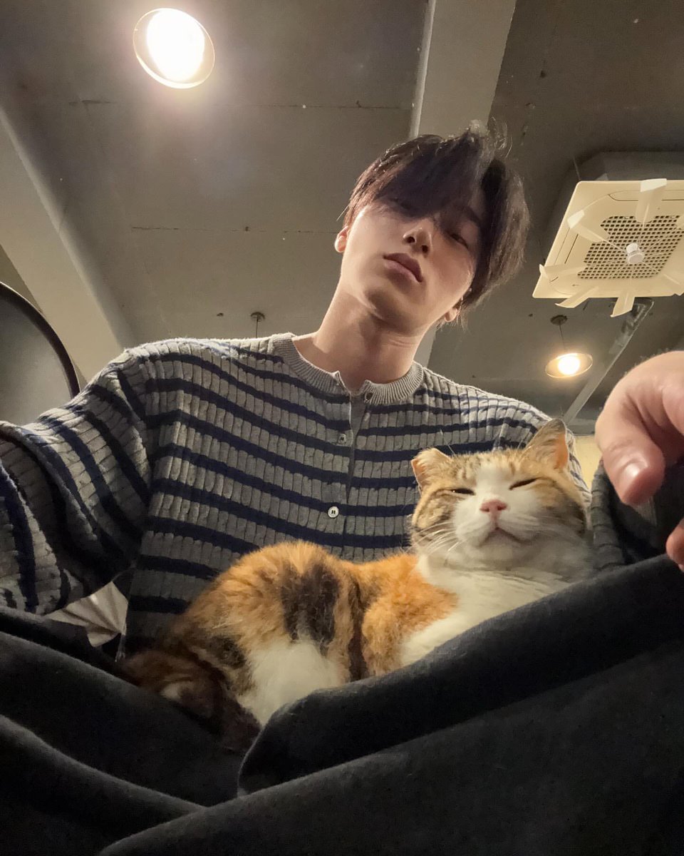 heartinsani's tweet photo. https://t.co/sF2YAuXVhH