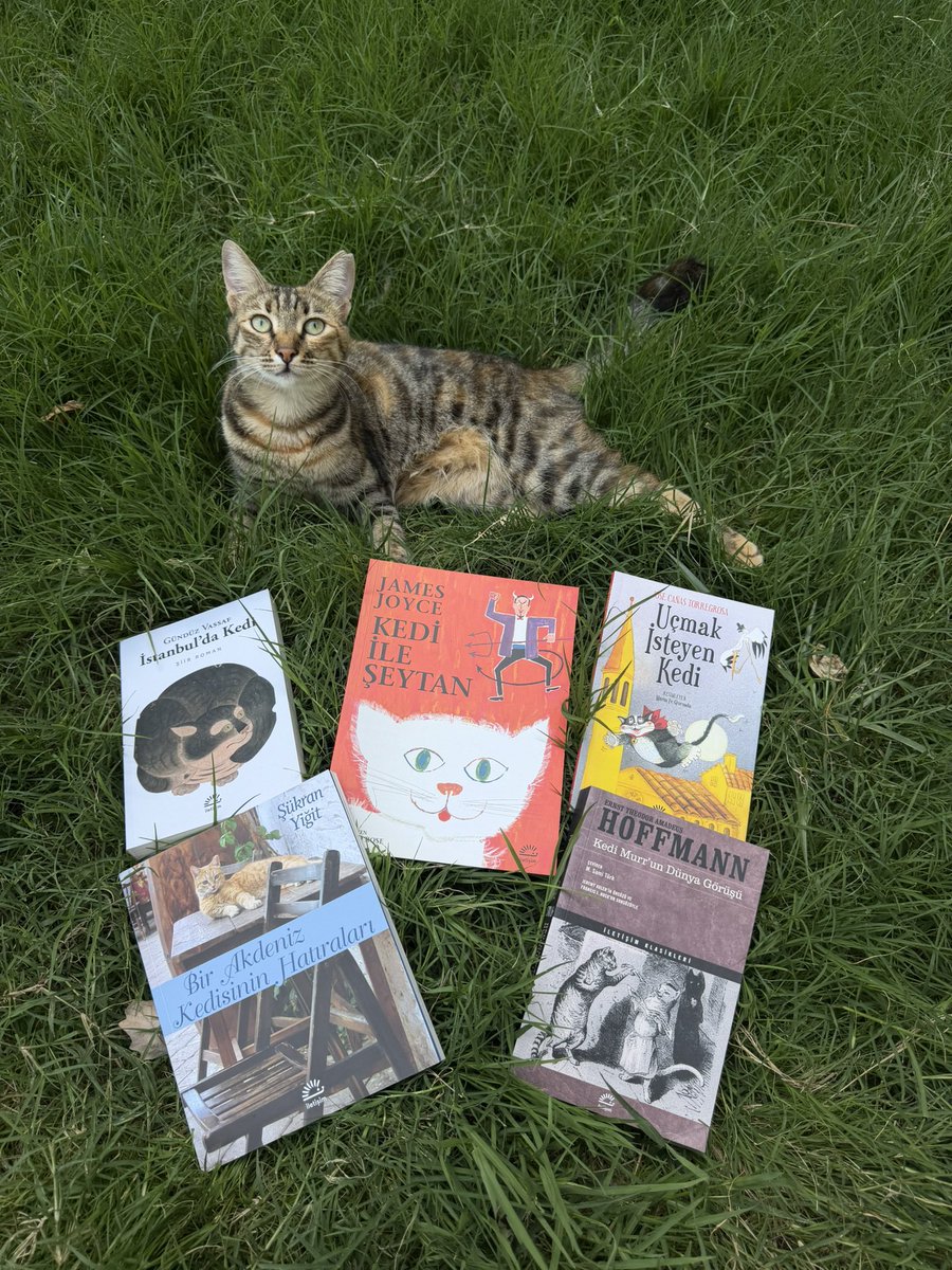 iletisimyayin's tweet photo. Bugün Dünya Kedi Günü! 🐈🐈‍⬛

Kedi dostlarımızın iz bıraktığı kitaplardan, onlarla birlikte birkaç fotoğraf… 🐾📚 https://t.co/c7cQmhrw1I