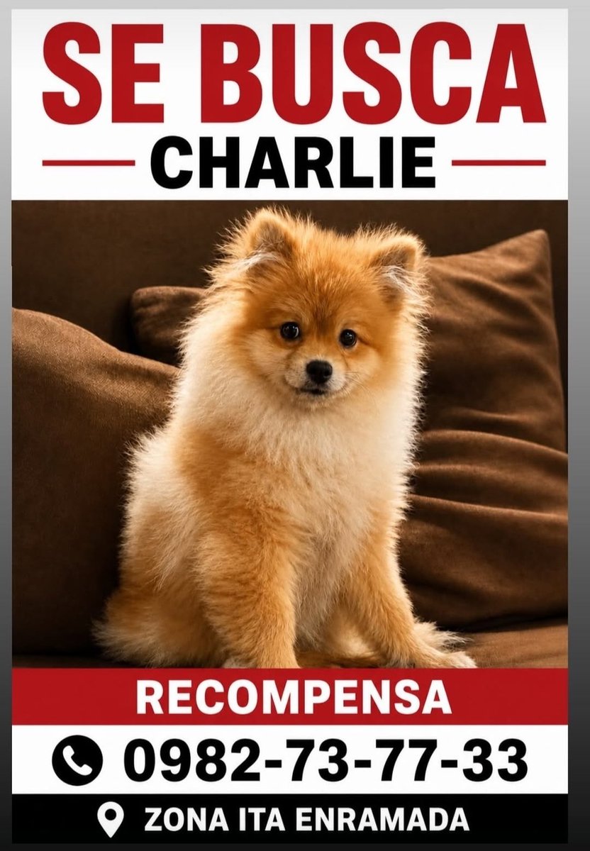 mariannojeda's tweet photo. Atención Ita Enramada, si le viste por favor avisa a su Familia.  Se agradece compartir https://t.co/B38xfW6MBF