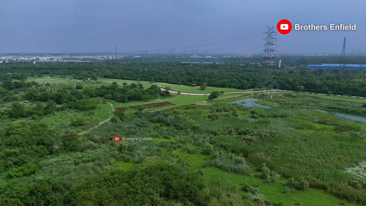 india_plus_'s tweet photo. 🚨 Delhi's forgotten Yamuna riverfront is getting a stunning makeover. 🌿 

197 acres restored with 30,000 native trees and over 33 lakh river grasses. This transformation is hard to believe.

(📹 Brothers Enfield)

follow @india_plus_ https://t.co/H5KtfdaqoV