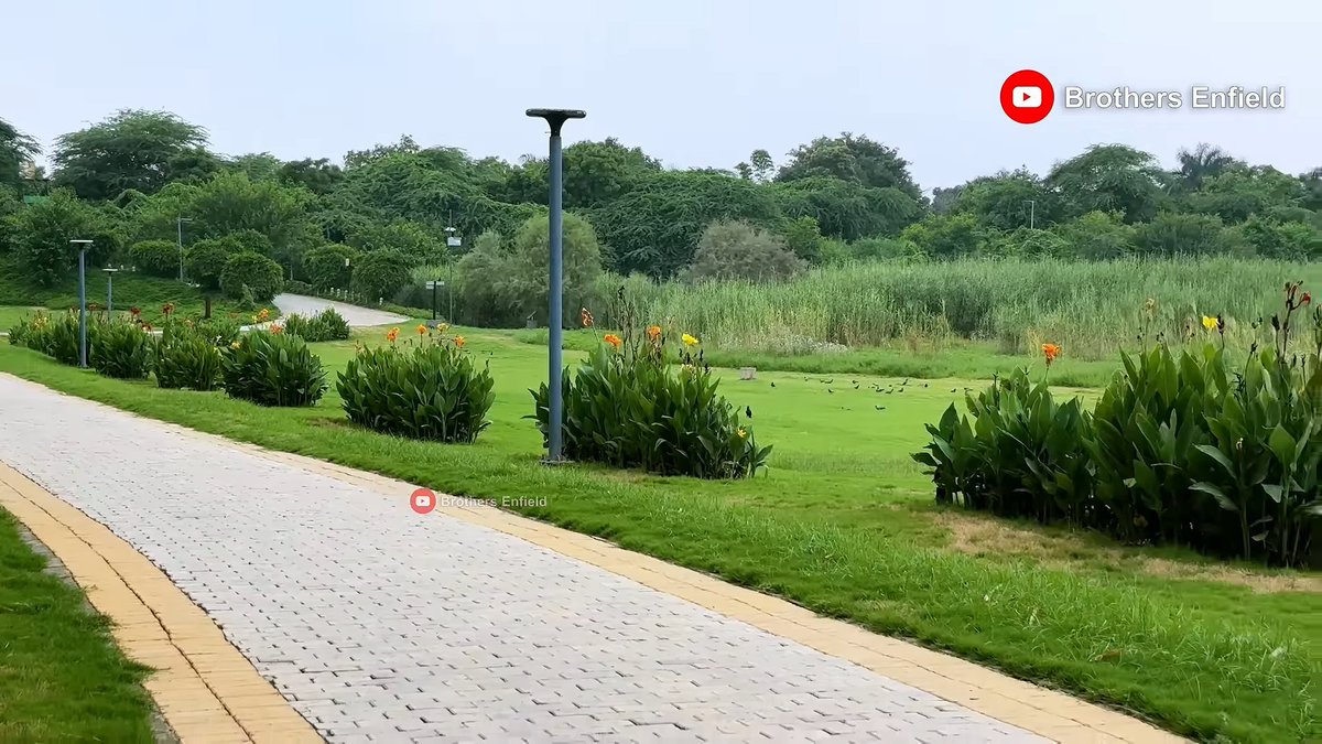 india_plus_'s tweet photo. 🚨 Delhi's forgotten Yamuna riverfront is getting a stunning makeover. 🌿 

197 acres restored with 30,000 native trees and over 33 lakh river grasses. This transformation is hard to believe.

(📹 Brothers Enfield)

follow @india_plus_ https://t.co/H5KtfdaqoV